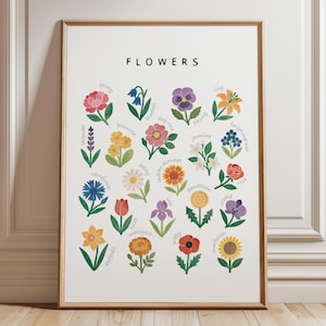 Affiche éducative de fleurs, décoration nature pour la classe, apprentissage à la maison, matériaux Montessori, affiche de fleurs de salle de jeux, TÉLÉCHARGEMENT NUMÉRIQUE