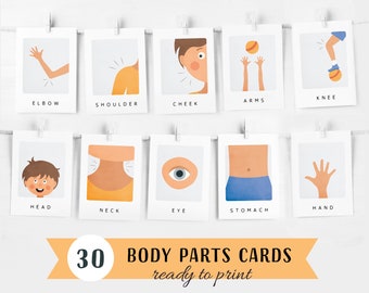 30 Body Parts Cards, Montessori flashcards, Pre-School Cards, Rainbow Educational Printable Cards, Instant Download