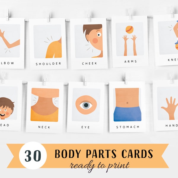 30 Body Parts Cards, Montessori flashcards, Pre-School Cards, Rainbow Educational Printable Cards, Instant Download