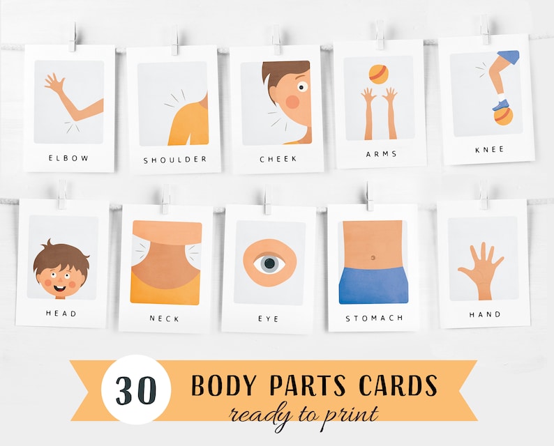 30 Body Parts Cards, Montessori flashcards, Pre-School Cards, Rainbow Educational Printable Cards, Instant Download image 1