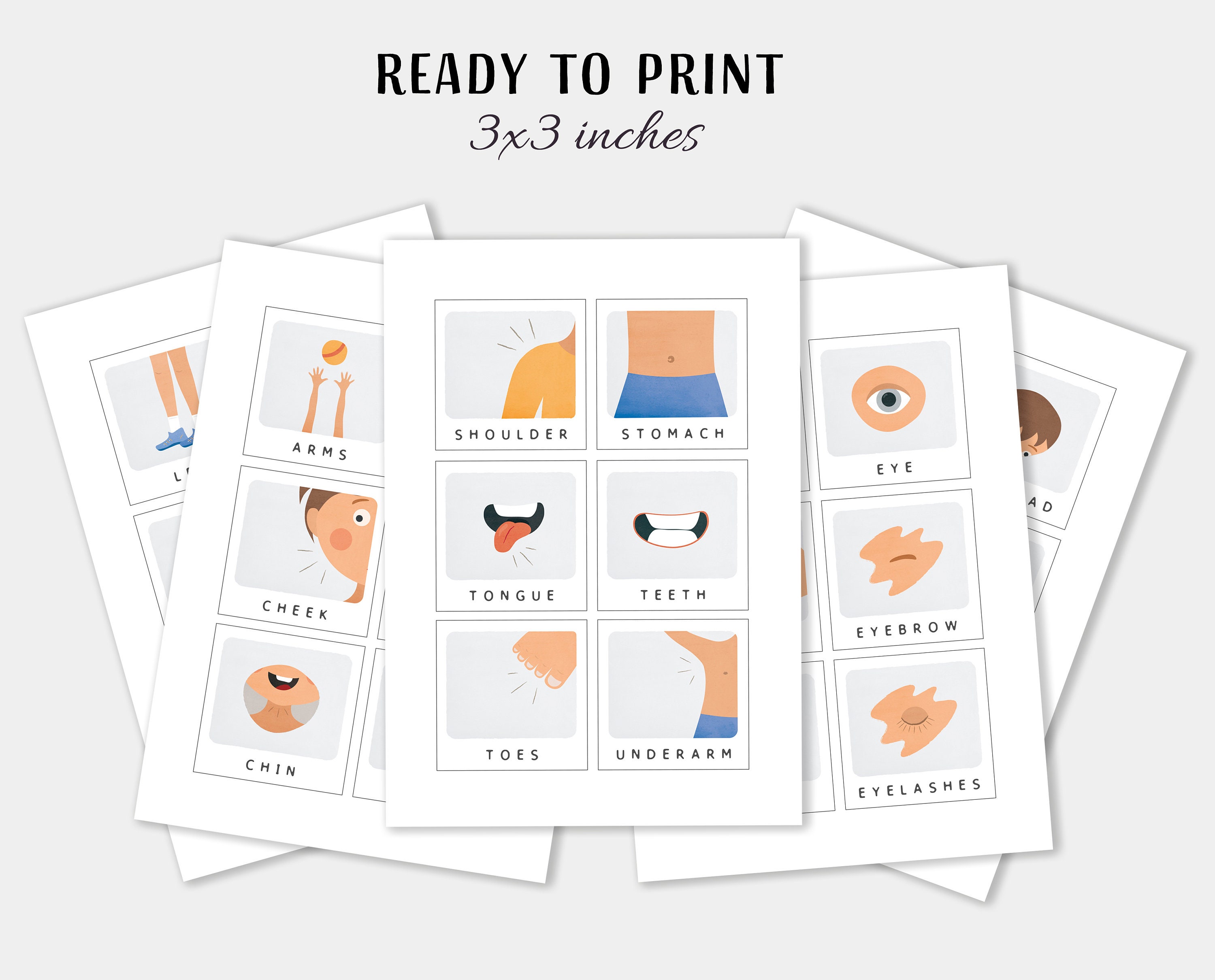 Tarjetas Educativas Del Cuerpo Humano – Set De 36 Fichas De Aprendizaje Para Niños De 3 Años En Adelante, Con Ilustraciones Coloridas