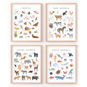 4 carteles educativos de animales, cartel de insectos, animales de granja, animales de safari, animales del océano, materiales Montessori, DESCARGA DIGITAL
