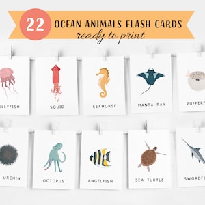 22 Ocean Animals Cards, Montessori flash cards, Pre-School Cards, Rainbow Educational Printable Cards, INSTANT DOWNLOAD