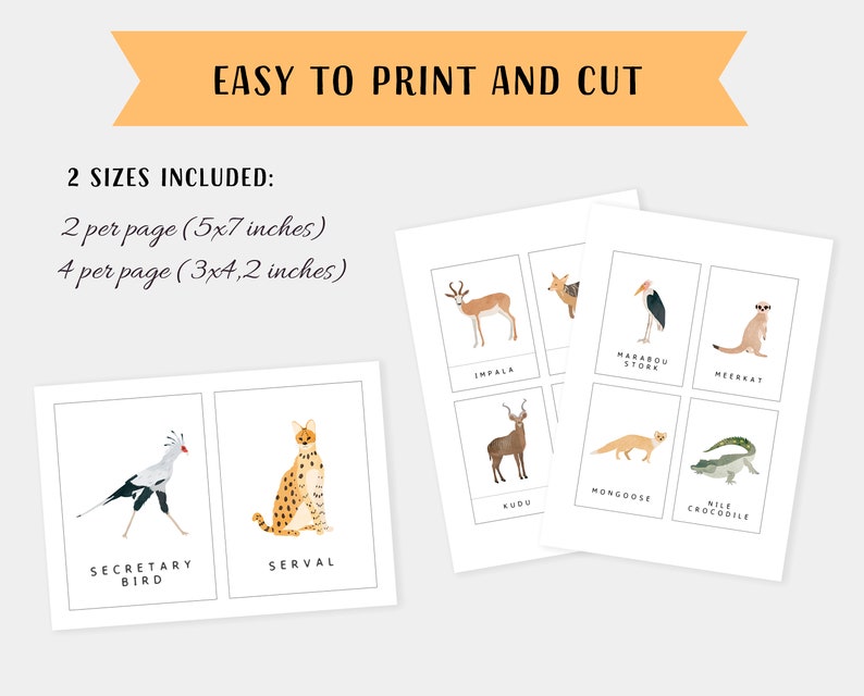 30 Safari Animals Flash Cards, Montessori Materials, Educational Printable Cards, Zoo Animals Flash Cards, INSTANT DOWNLOAD image 2