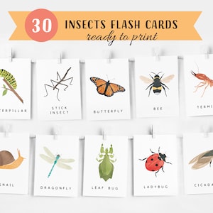 30 Insects Flash Cards, Montessori flash cards, Pre-School Cards, Educational Printable Cards, Montessori Materials, INSTANT DOWNLOAD