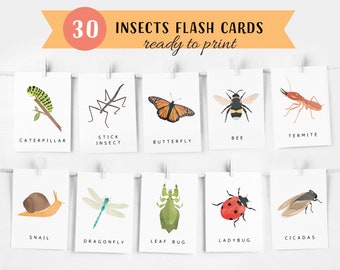 30 Insects Flash Cards, Montessori flash cards, Pre-School Cards, Educational Printable Cards, Montessori Materials, INSTANT DOWNLOAD