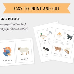 20 Farm Animals Cards, Montessori flash cards, Pre-School Cards, Rainbow Educational Printable Cards, INSTANT DOWNLOAD image 3