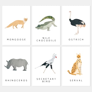 30 Safari Animals Flash Cards, Montessori Materials, Educational Printable Cards, Zoo Animals Flash Cards, INSTANT DOWNLOAD image 7