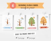 Seasons Flash Cards, Seasons Chart, Kids Wall Decor, Educational Flash Cards, Montessori Nursery, Homeschool Decor, Digital Download