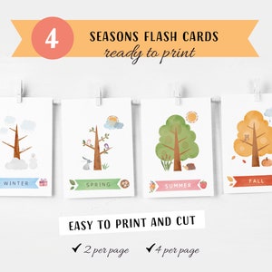 Seasons Flash Cards, Seasons Chart, Kids Wall Decor, Educational Flash Cards, Montessori Nursery, Homeschool Decor, Digital Download
