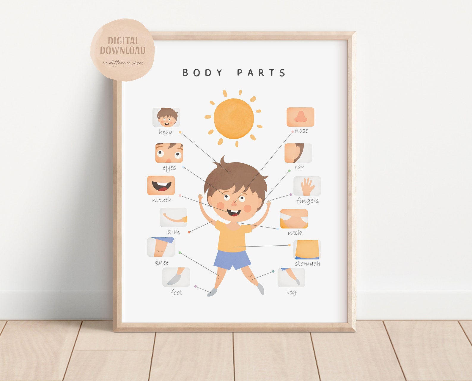 Body Parts Educational Poster Printable Wall Art Digital Etsy UK