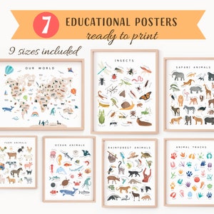 Conjunto de 7 carteles educativos de animales, Insectos, Animales de granja, Animales de Safari, Animales del océano, Materiales Montessori, DESCARGA DIGITAL, N71
