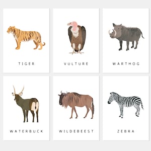 30 Safari Animals Flash Cards, Montessori Materials, Educational Printable Cards, Zoo Animals Flash Cards, INSTANT DOWNLOAD image 8