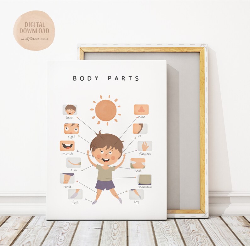 Body Parts Educational Poster Printable Wall Art Digital Etsy Canada
