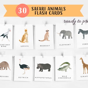 30 cartes Flash Safari Animals, matériel Montessori, cartes éducatives imprimables, cartes Flash animaux du zoo, TÉLÉCHARGEMENT INSTANTANÉ