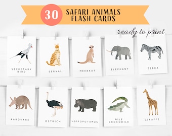 30 Safari Animals Flash Cards, Montessori Materials, Educational Printable Cards, Zoo Animals Flash Cards, INSTANT DOWNLOAD