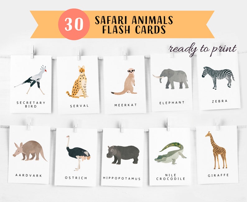 30 Safari Animals Flash Cards, Montessori Materials, Educational Printable Cards, Zoo Animals Flash Cards, INSTANT DOWNLOAD image 1