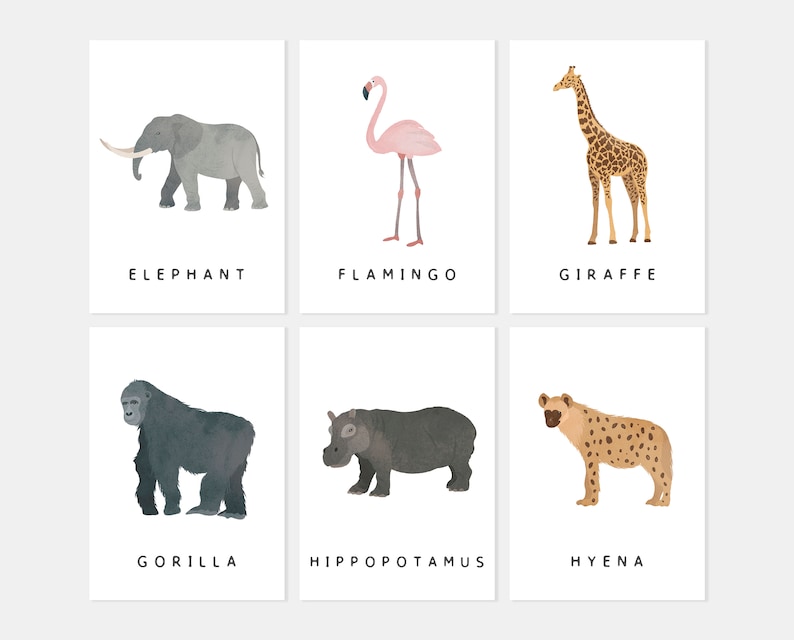 30 Safari Animals Flash Cards, Montessori Materials, Educational Printable Cards, Zoo Animals Flash Cards, INSTANT DOWNLOAD image 5