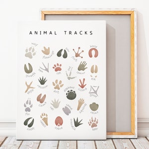 Tierspuren Poster, neutrales Kinderzimmer Wanddekor, Spielzimmer Poster, Montessori Lernposter, Wald Kinderzimmer Dekor, DIGITAL DOWNLOAD