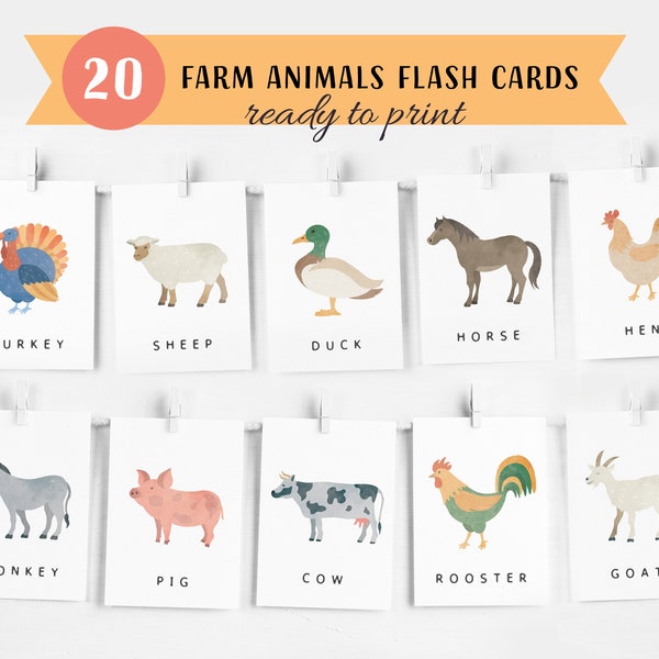 20 Farm Animals Cards, Montessori flash cards, Pre-School Cards, Rainbow Educational Printable Cards, INSTANT DOWNLOAD