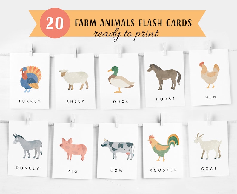 20 Farm Animals Cards, Montessori flash cards, Pre-School Cards, Rainbow Educational Printable Cards, INSTANT DOWNLOAD image 1