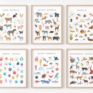 Set of 25 Educational Posters, Montessori Classroom Decor, Toddler Playroom, Rainbow Nursery Prints, Homeschool Art, Digital Download, Rainbow ABC Print, Alphabet Poster, Body Parts, Colors Learning Poster, Count to 100 Print, World Map For Kids, Moon Phases, Telling the Time, Feelings Poster, Watercolor Shapes Poster, Insects Poster, Safari Animals, Rainforest Animals, Farm Animals, Rainbow Numbers Poster.