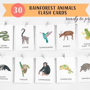 30 cartes flash animaux de la forêt tropicale, cartes flash animaux de la jungle, cartes imprimables éducatives, matériaux Montessori, TÉLÉCHARGEMENT INSTANTANÉ