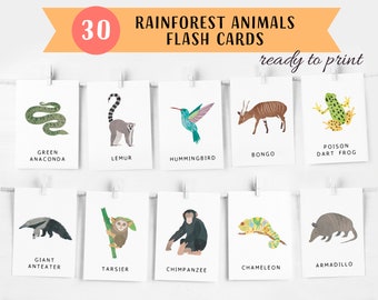 30 Rainforest Animals Flash Cards, Jungle Animals Flash Cards, Educational Printable Cards, Montessori Materials, INSTANT DOWNLOAD