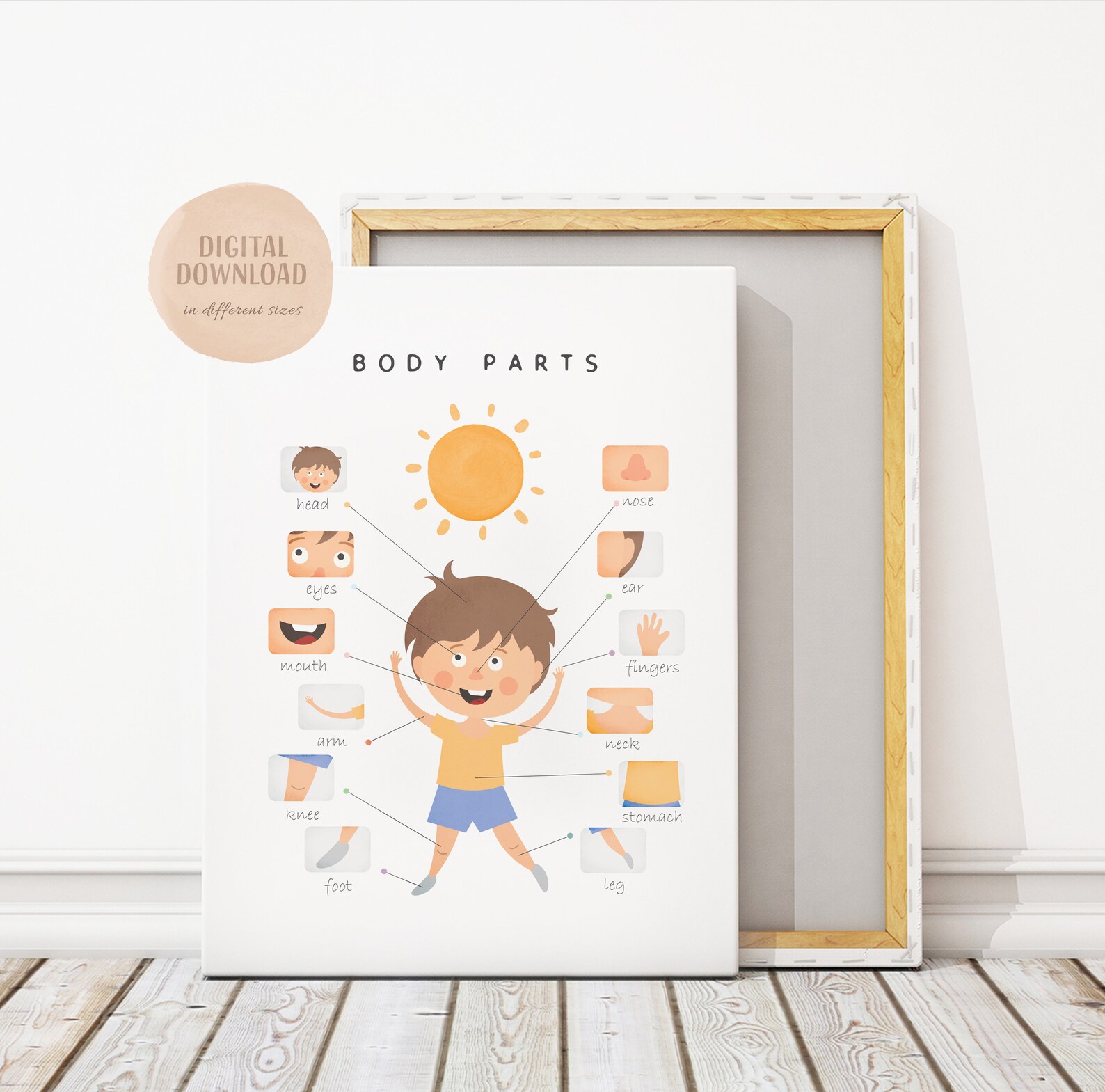 Body Parts Educational Poster Printable Wall Art Digital | Etsy UK