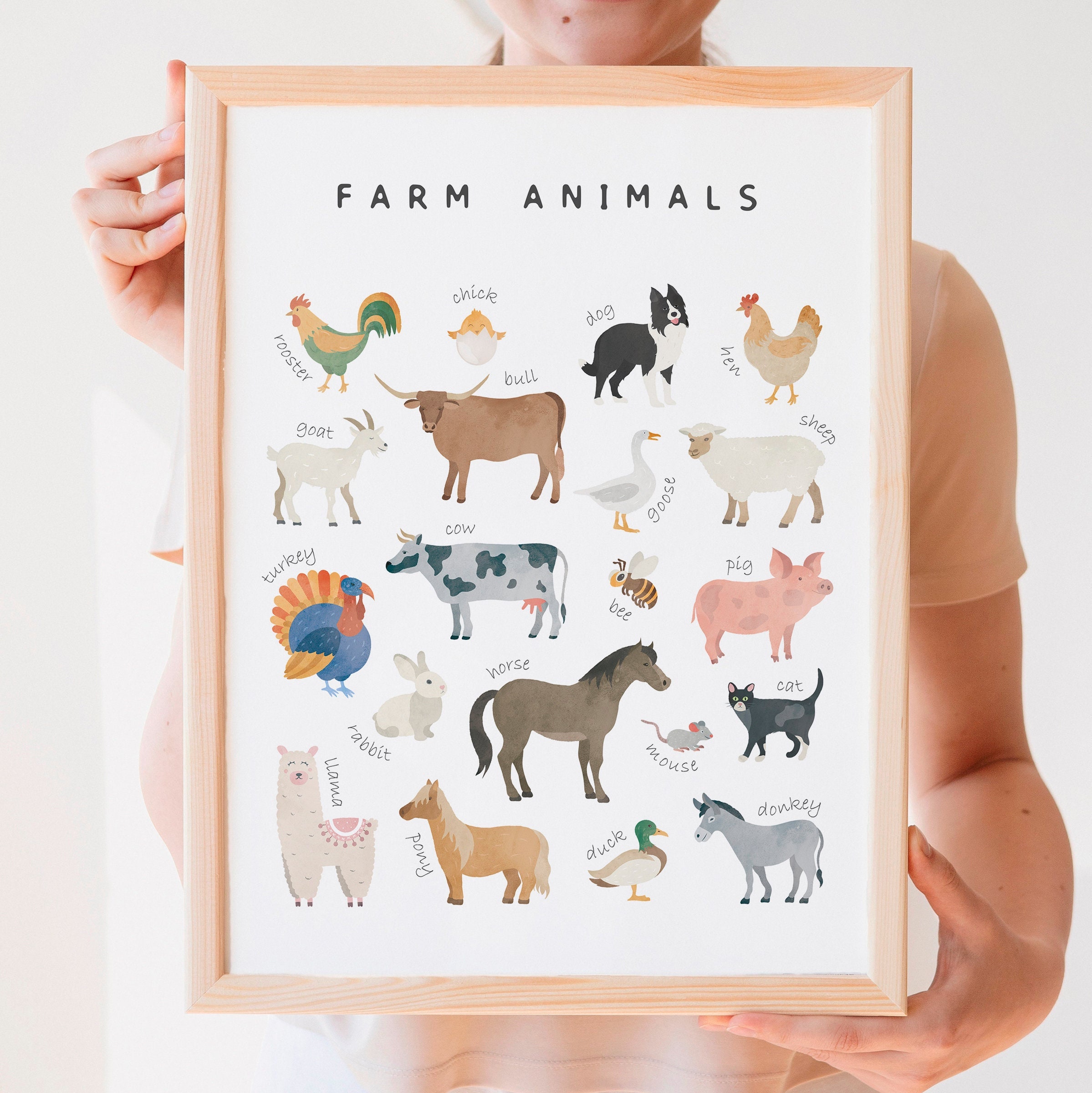 Farm Animals Poster, Educational Poster, Nursery Wall Decor, Playroom Decor, Montessori Educational Posters, DIGITAL DOWNLOAD