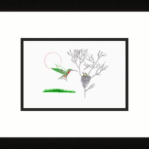 Hummingbird Nest by Richard Shorty, Indigenous Art Card, Hummingbird Framed Art Card