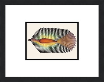 Darting Raven, Etching & Aquatint by Kenojuak Ashevak, Indigenous Inuit Art Card,  Cape Dorset, Framed Art Card