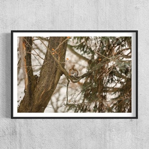 Michigan Winters - Nieve - Ardilla - Naturaleza - Impresión - Descarga digital - Decoración de pared - Arte imprimible - Paisaje - Fotografía de viajes