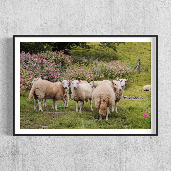 Wales - Sheep Farm - Snowdonia National Park - Animals - UK - Europe - Nature - Print - Printable Wall Art - Landscape - Travel Photography