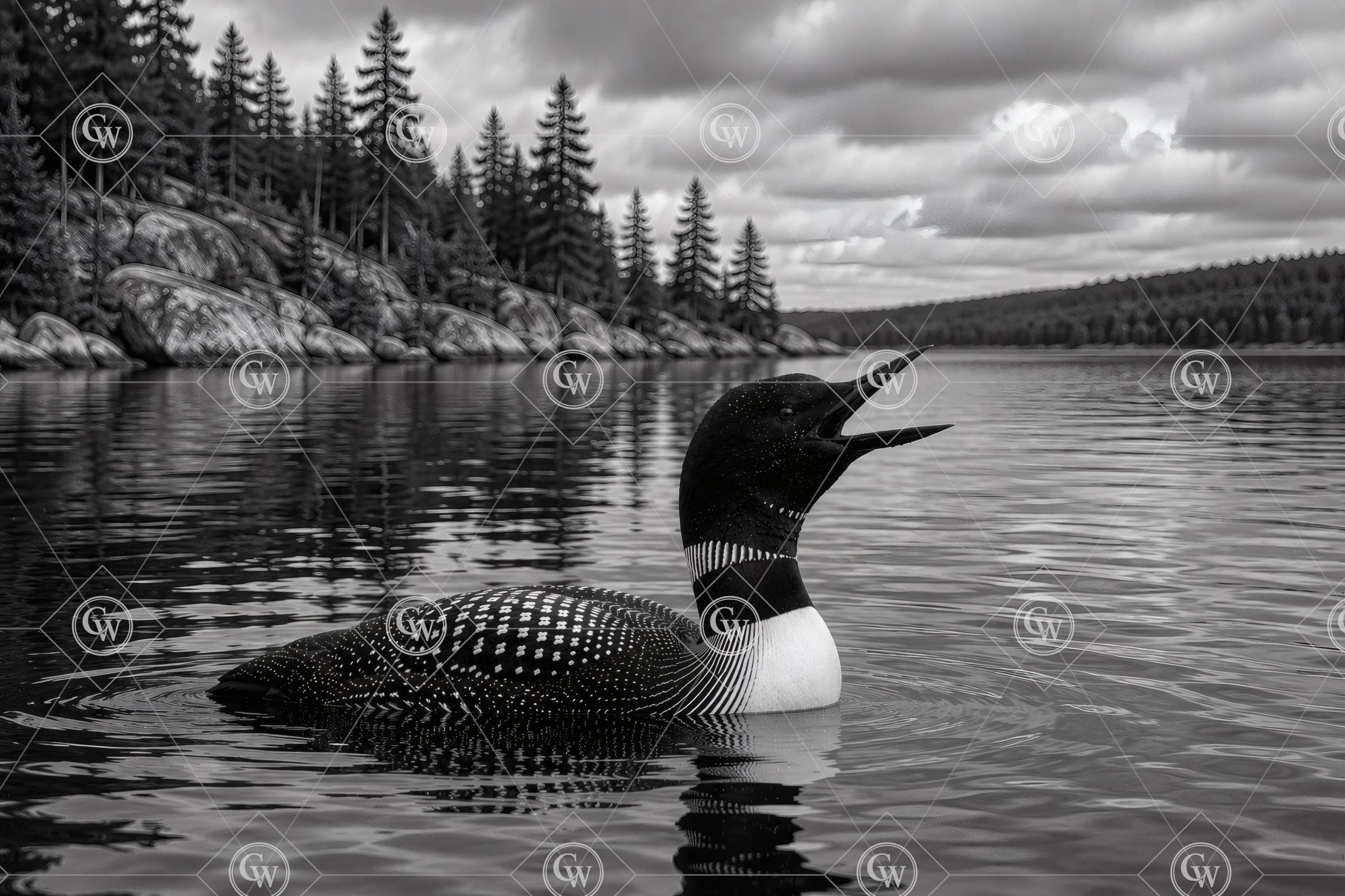 Calling Loon PNG Bundle | Lake Artwork Laser File (digital Download) - Etsy