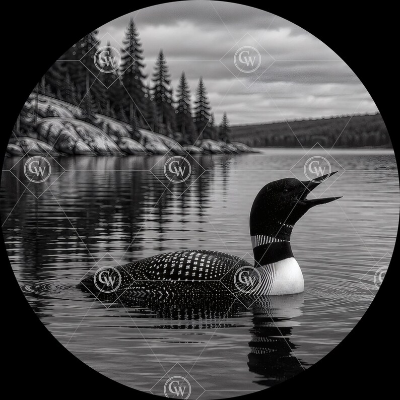 Calling Loon PNG Bundle | Lake Artwork Laser File (digital Download) - Etsy
