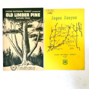 May include: Two vintage brochures from Cache National Forest. One features a drawing of a large tree and the text "Old Limber Pine Nature Trail." The other is yellow with a map of Logan Canyon.