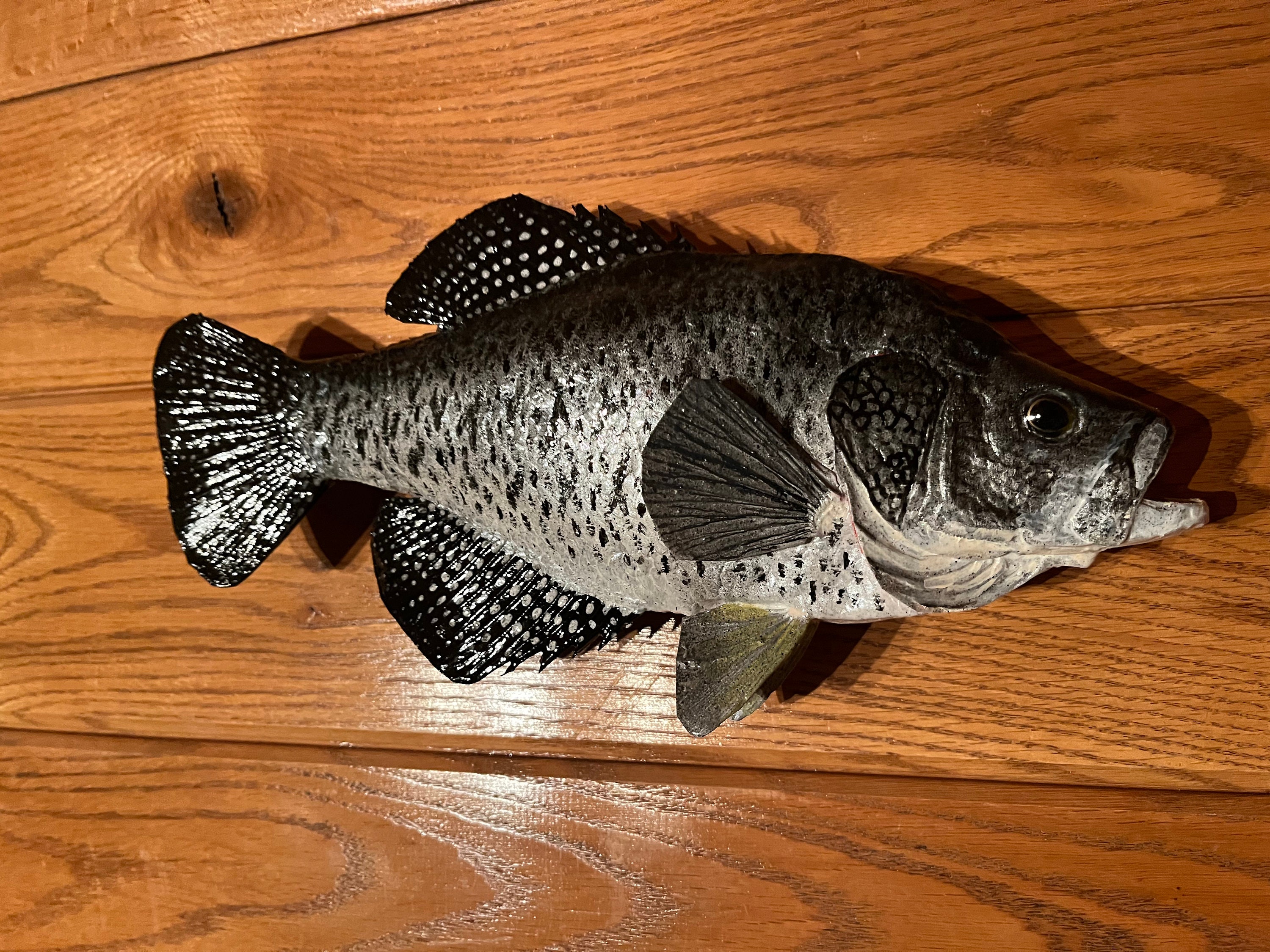 Wall Mount Crappie Etsy