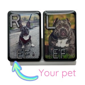 Marcadores de rayos X personalizados para mascotas con iniciales / Marcadores de radiología personalizados / Regalo para técnicos de radiología