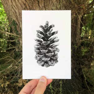 Pomme de Pin • Carte postale illustrée A6, carte botanique, illustration forestière en pointillisme, thème de la nature, papeterie végétale
