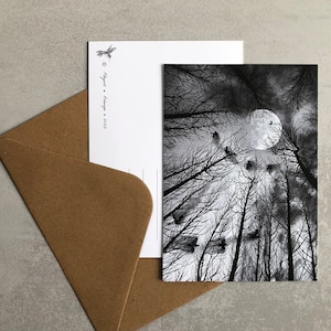 Présage • Carte postale illustrée forêt, illustration A6 forêt sombre et corbeaux, ambiance nocturne, art de la nature, fait main à l’encre