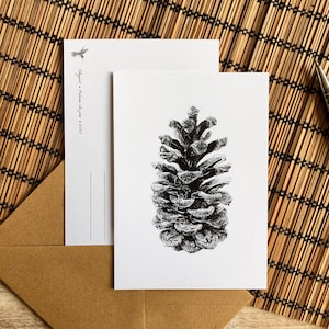 Peut inclure: Une carte postale blanche avec une illustration détaillée à l'encre noire d'une pomme de pin. Le verso présente une petite icône de colibri et le texte "Elegant - Pomme de pin - 2023". Une enveloppe brune et un porte-mine argenté sont présents.