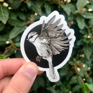 Autocollant mésange bleue, oiseau en vol, fait à l’encre, petit cadeau thème nature, autocollant pour gourde, ordinateur portable ou carnet