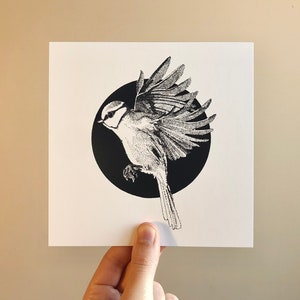 Mésange bleue • Carte postale illustrée carrée, illustration oiseau, carte pour toute occasion, papeterie artisanale, art de la nature