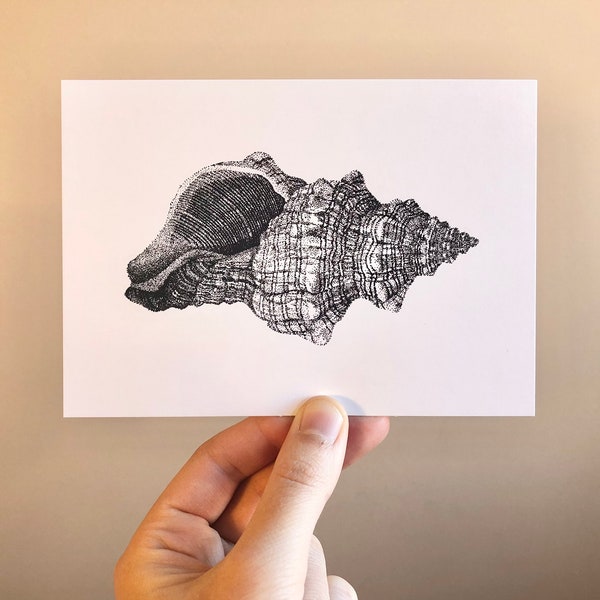 L’eau delà • Carte postale illustrée coquillage, A6, fait main en pointillisme, carte de vacances, cadeau thème de la mer, art de la nature