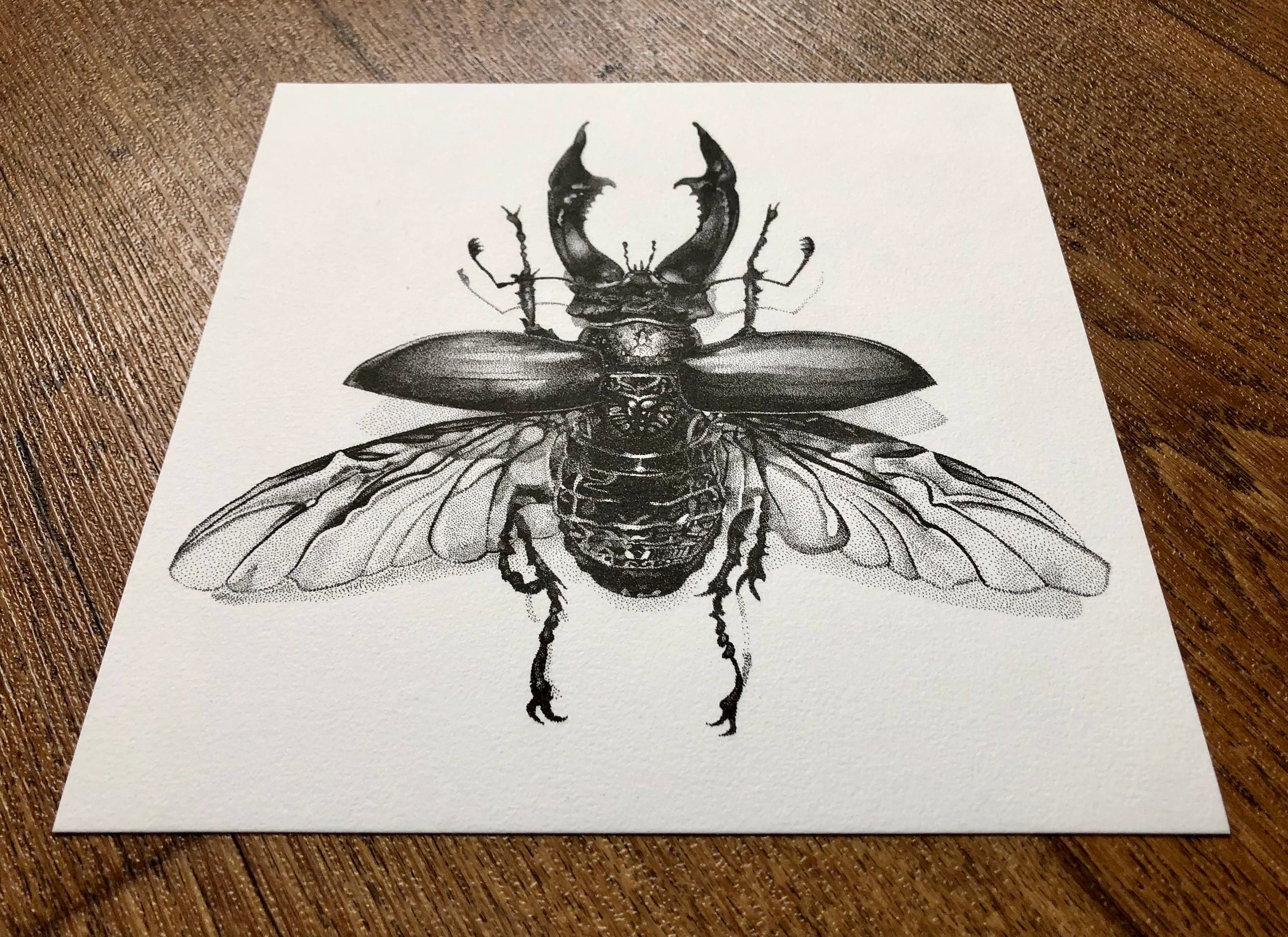 Stag Beetle • Print, Handmade Pointillism Insect Illustration, Black ...