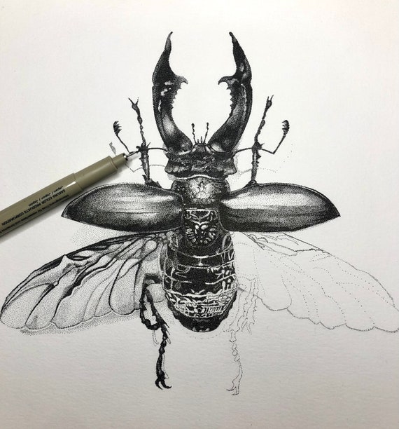 Stag Beetle • Print, Handmade Pointillist Insect Illustration