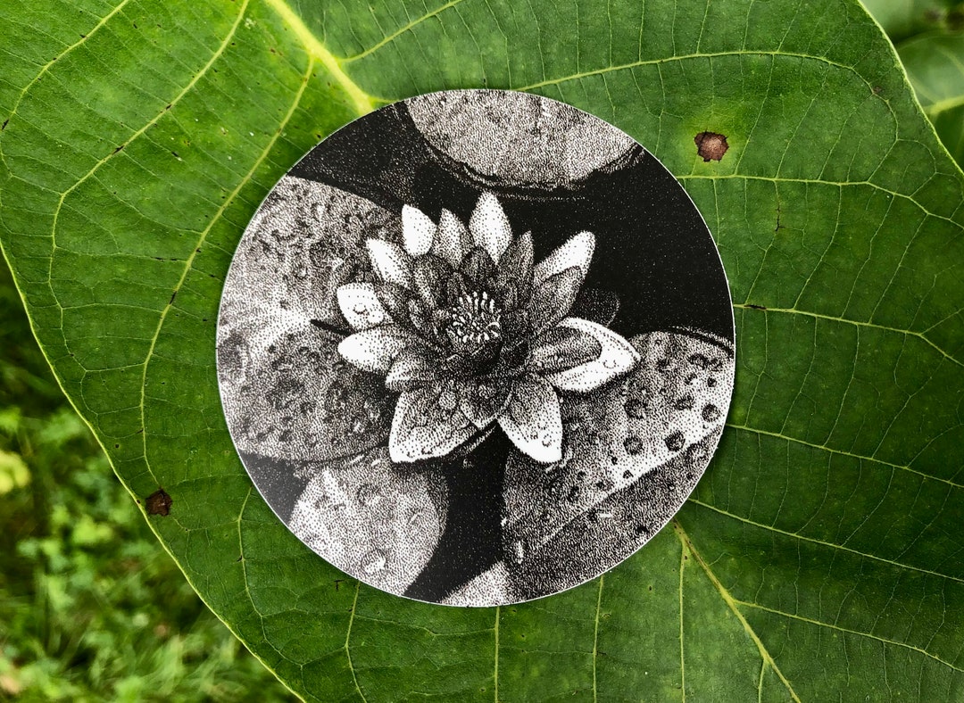 Illustrated Sticker, Water Lily Sticker, Handmade Drawing, Black and ...