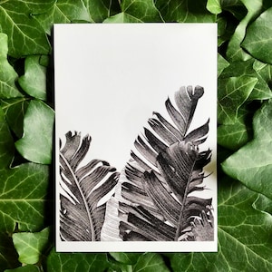 Feuilles de bananier • Carte postale illustrée A6, carte botanique, illustration feuilles tropicales, dessin de plante, papeterie végétale