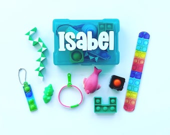 Fidget Mystery Box, Desk Toy Storage Case, Travel School Quiet Calm Anxiety Stress Relief ADHD Autism Neurodivergent Toddler Kid Teen Adult